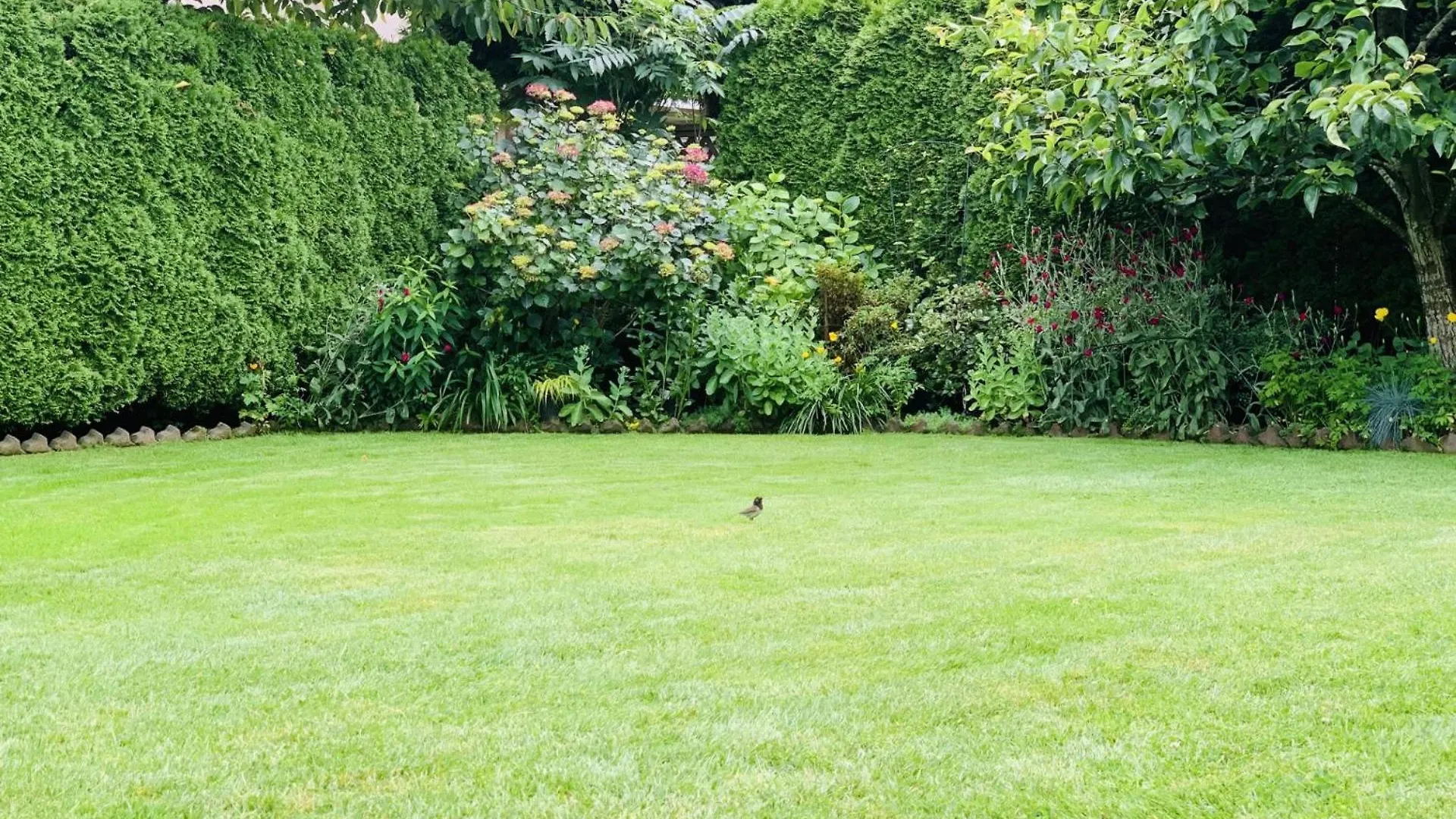 Richmond Garden Retreat 아파트 0*,
