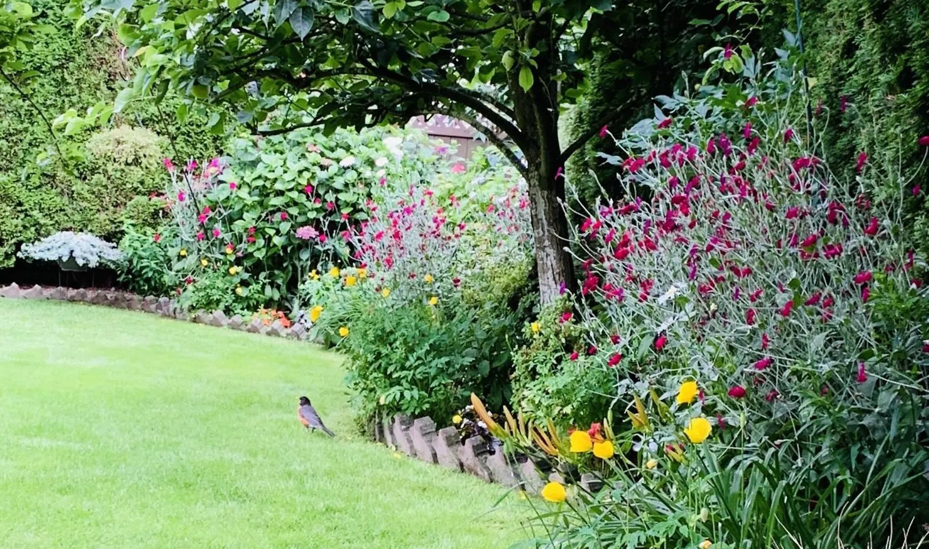 Richmond Garden Retreat 아파트